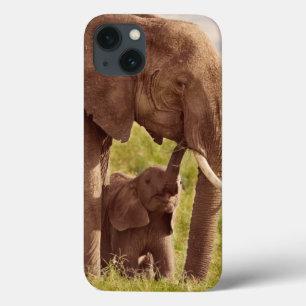 Getty Images   Elephant & Baby iPhone 13 Case