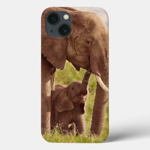 Getty Images   Elephant & Baby iPhone 13 Case