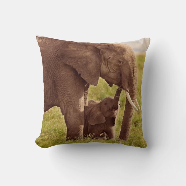 Getty Images | Elephant & Baby Cushion (Front)