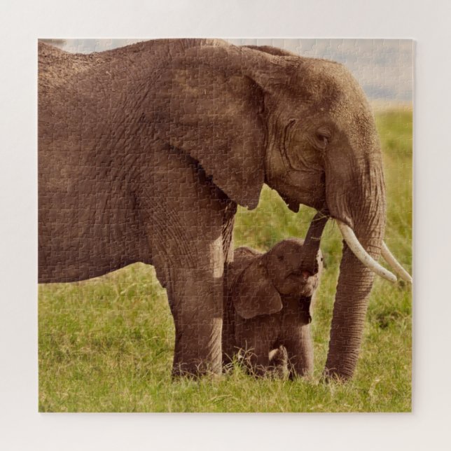 Getty Images | Elephant & Baby Jigsaw Puzzle (Horizontal)