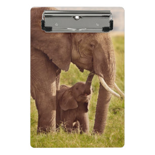 Getty Images Elephant & Baby Mini Clipboard