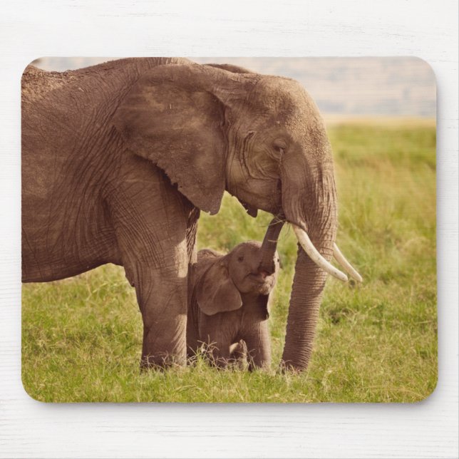 Getty Images | Elephant & Baby Mouse Pad (Front)
