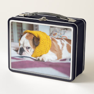 Getty Images   English Bulldog Metal Lunch Box