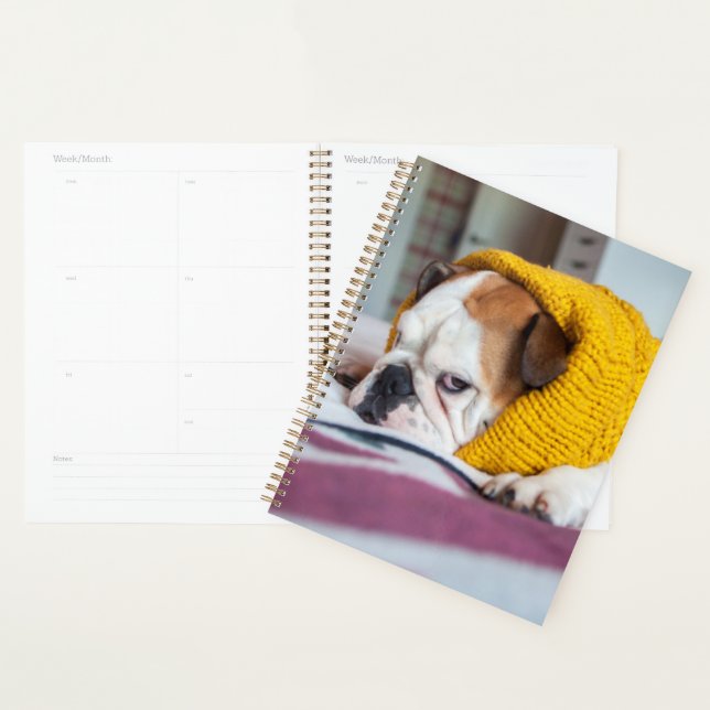 Getty Images | English Bulldog Planner (Display)