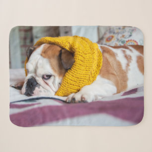 Getty Images   English Bulldog Sherpa Blanket
