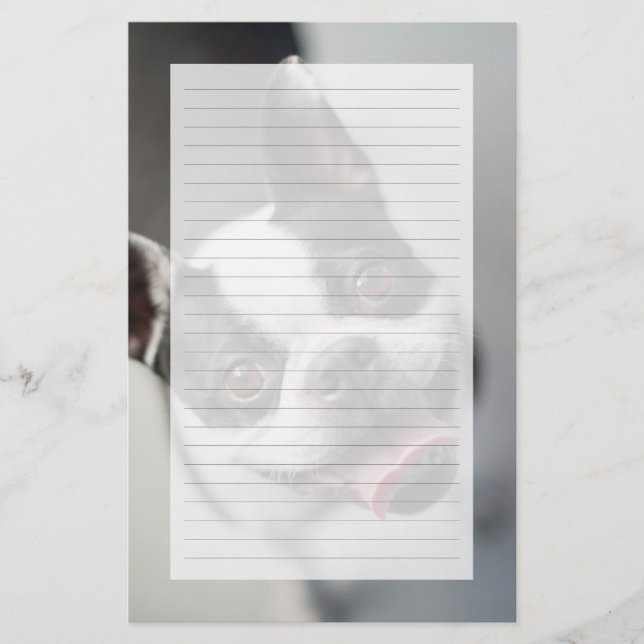 Getty Images | French Bulldog (Front)