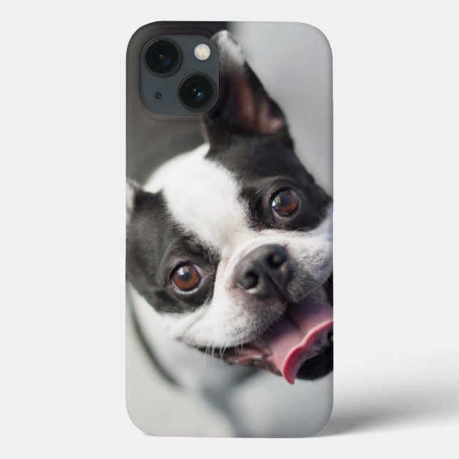 Getty Images | French Bulldog Case-Mate iPhone Case (Back)