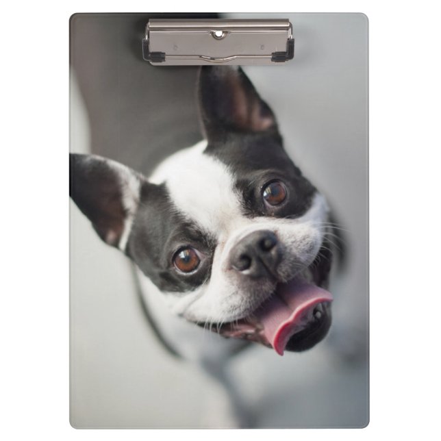 Getty Images | French Bulldog Clipboard (Front)