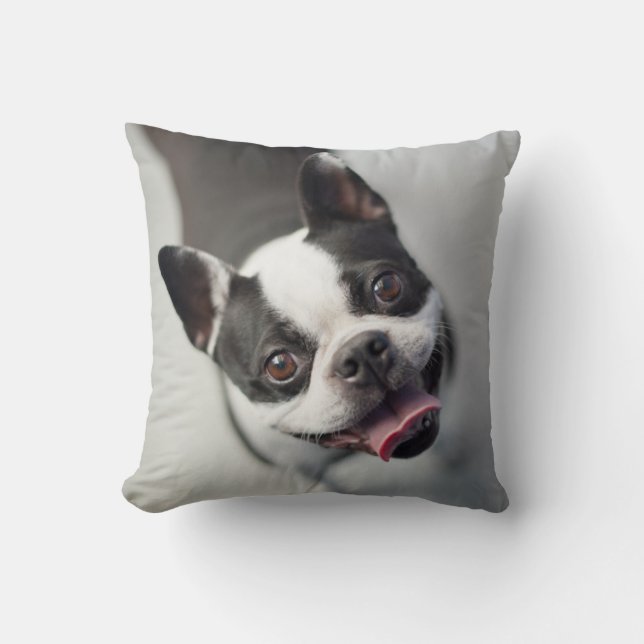 Getty Images | French Bulldog Cushion (Front)