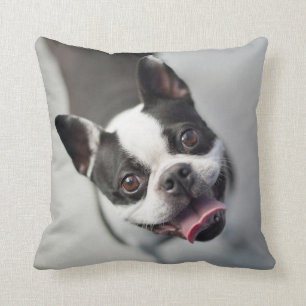 Getty Images French Bulldog Cushion