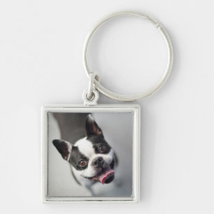Getty Images French Bulldog Key Ring