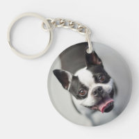 Getty Images | French Bulldog