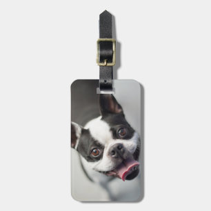 Getty Images French Bulldog Luggage Tag