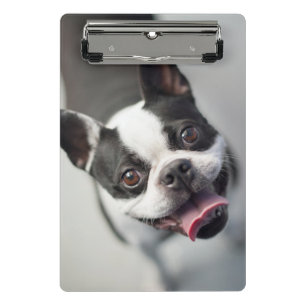 Getty Images French Bulldog Mini Clipboard