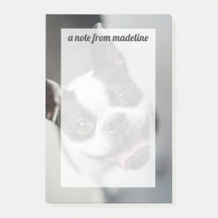 Getty Images French Bulldog Post-it Notes