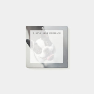 Getty Images   French Bulldog Post-it Notes