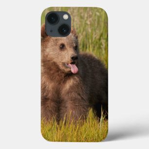 Getty Images Funny Baby Bear iPhone 13 Case