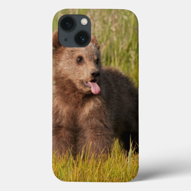 Getty Images | Funny Baby Bear Case-Mate iPhone Case (Back)