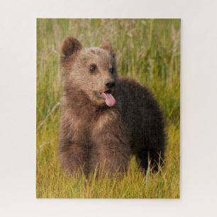 Getty Images   Funny Baby Bear Jigsaw Puzzle