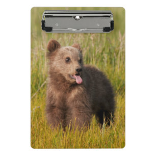 Getty Images Funny Baby Bear Mini Clipboard
