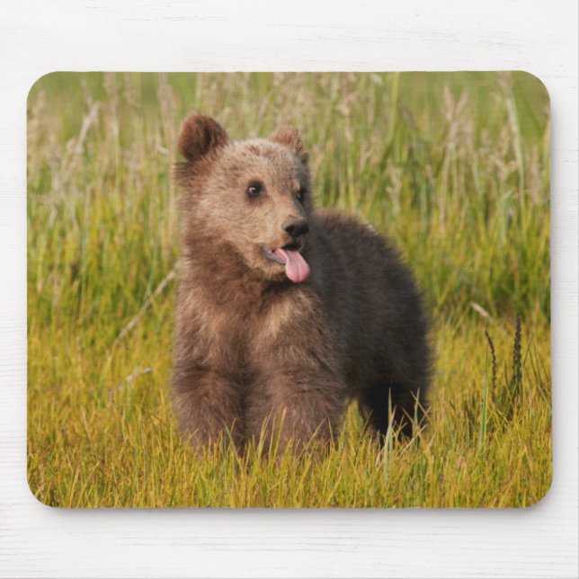 Getty Images | Funny Baby Bear Mouse Pad (Front)