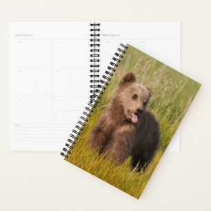 Getty Images   Funny Baby Bear Planner