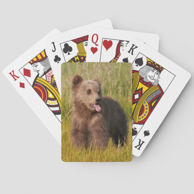 Getty Images | Funny Baby Bear Playing Cards (Back)