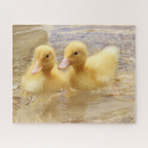 Getty Images Fuzzy Yellow Ducklings Jigsaw Puzzle