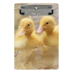 Getty Images   Fuzzy Yellow Ducklings Mini Clipboard