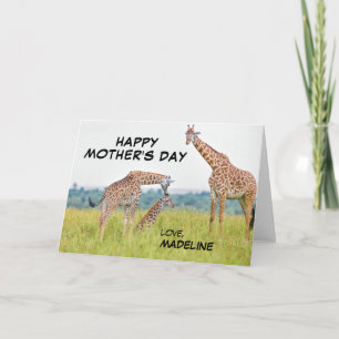 Getty Images   Giraffe Family Card