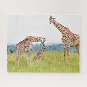 Getty Images   Giraffe Family Jigsaw Puzzle