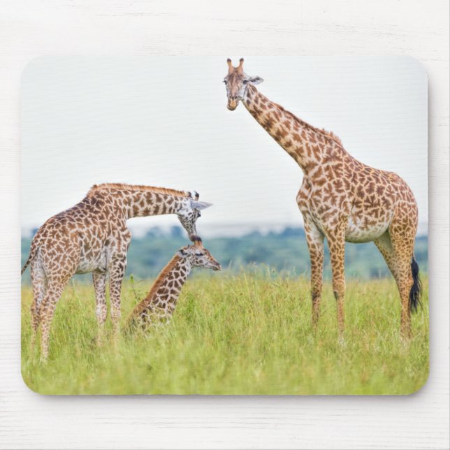 Getty Images | Giraffe Family Mouse Pad (Front)