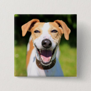 Getty Images Laughing Dog 15 Cm Square Badge