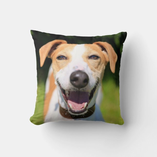 Getty Images | Laughing Dog Cushion (Front)