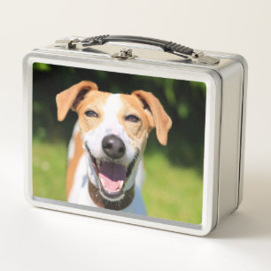 Getty Images Laughing Dog Metal Lunch Box