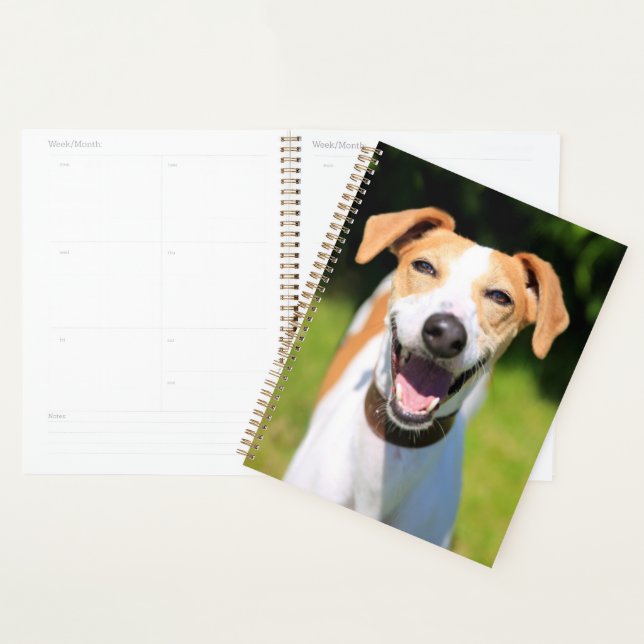 Getty Images | Laughing Dog Planner (Display)