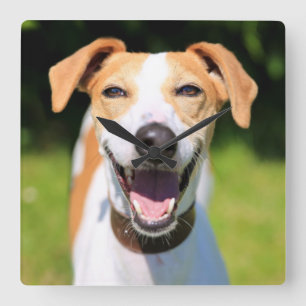 Getty Images Laughing Dog Square Wall Clock
