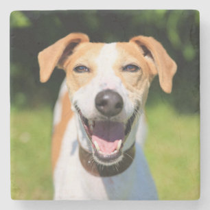 Getty Images Laughing Dog Stone Coaster