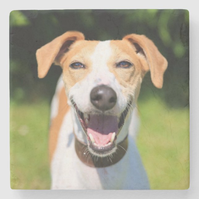 Getty Images | Laughing Dog Stone Coaster (Front)