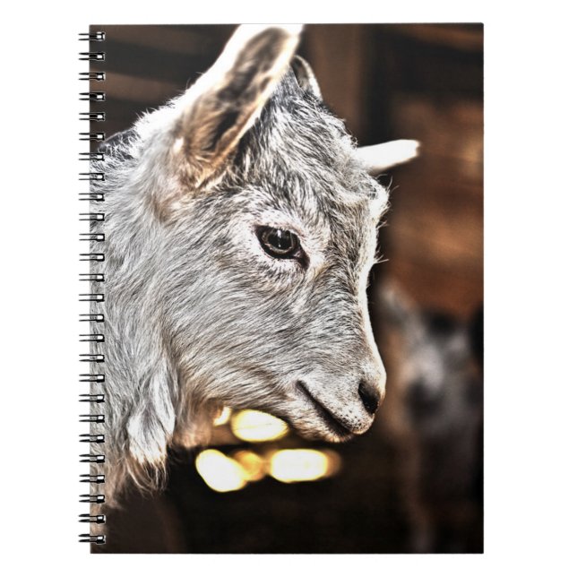 Getty Images | Little Goat Notebook (Front)