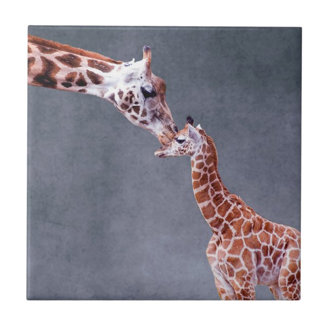 Getty Images | Mother & Baby Giraffe Ceramic Tile (Front)