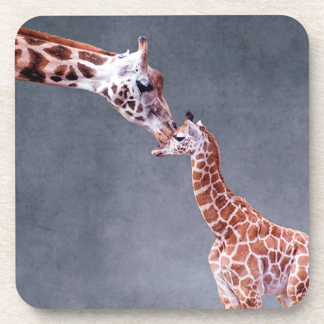Getty Images | Mother & Baby Giraffe Coaster (Front)