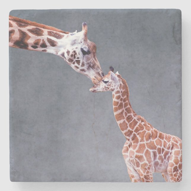 Getty Images | Mother & Baby Giraffe Stone Coaster (Front)
