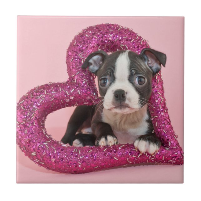 Getty Images | Puppy Love Ceramic Tile (Front)