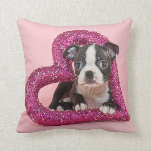 Getty Images Puppy Love Cushion