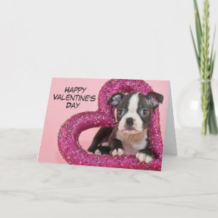 Getty Images   Puppy Love Holiday Card