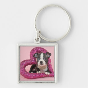 Getty Images   Puppy Love Key Ring