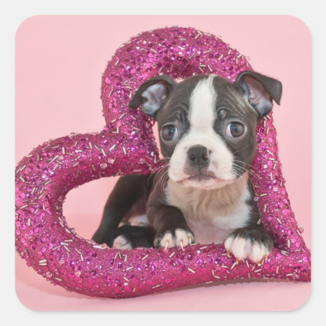 Getty Images | Puppy Love Square Sticker (Front)