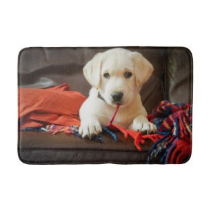 Getty Images Puppy On A Sofa Bath Mat