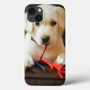 Getty Images   Puppy On A Sofa iPhone 13 Case